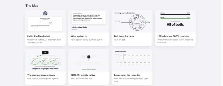 The apiiam home page on a desktop: the first section, "The idea", as seven page cards in two rows.